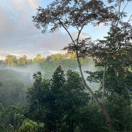 D'Tepi Ubud House Esterno foto