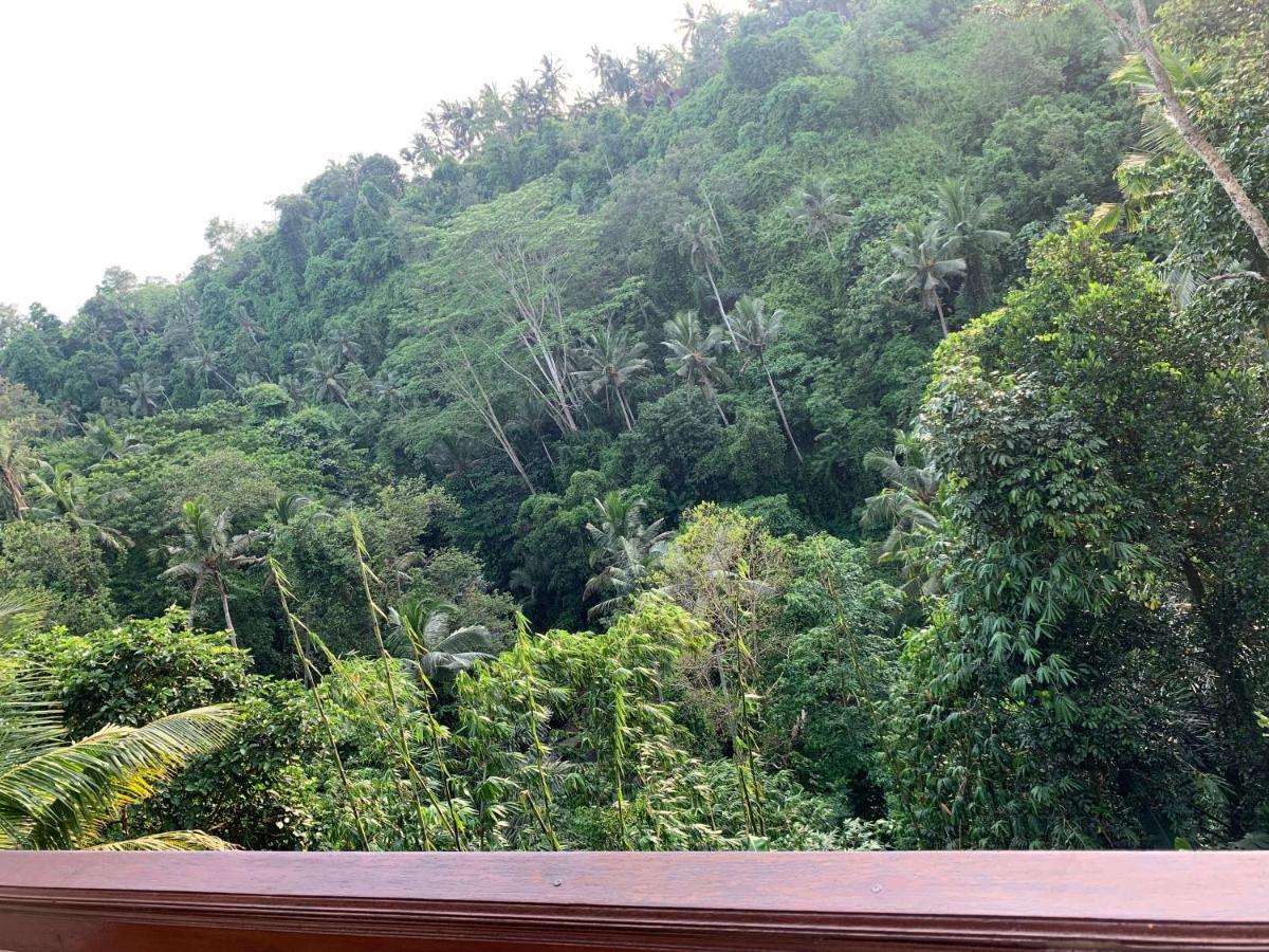 D'Tepi Ubud House Esterno foto