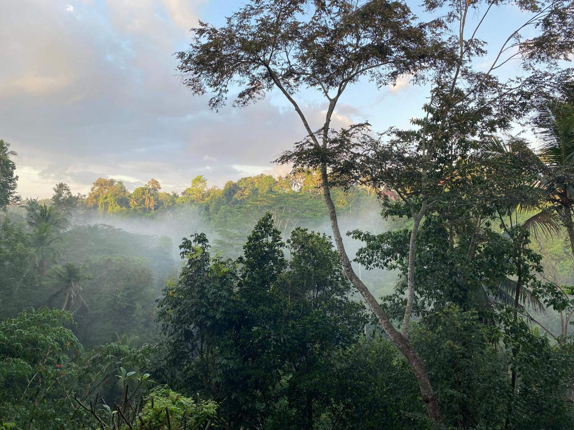 D'Tepi Ubud House Esterno foto